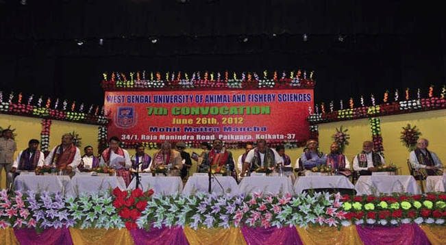 WBUAFS Festival photo 3